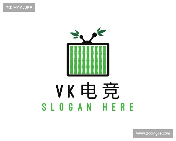 关于VK电竞